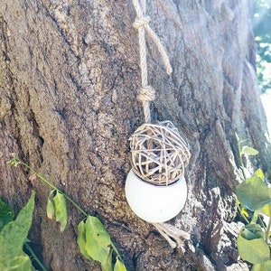 Puzzle Pod Forager