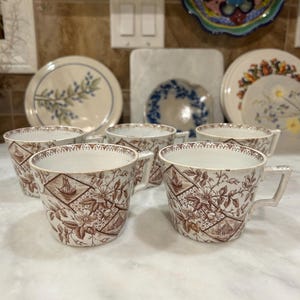 May include: Six vintage teacups with handles, featuring a brown and white floral and nautical pattern. The cups are arranged on a white surface, with several decorative plates in the background.