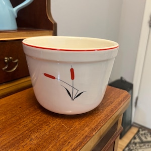 May include: White ceramic planter with a red rim and a black and red design of cattails.