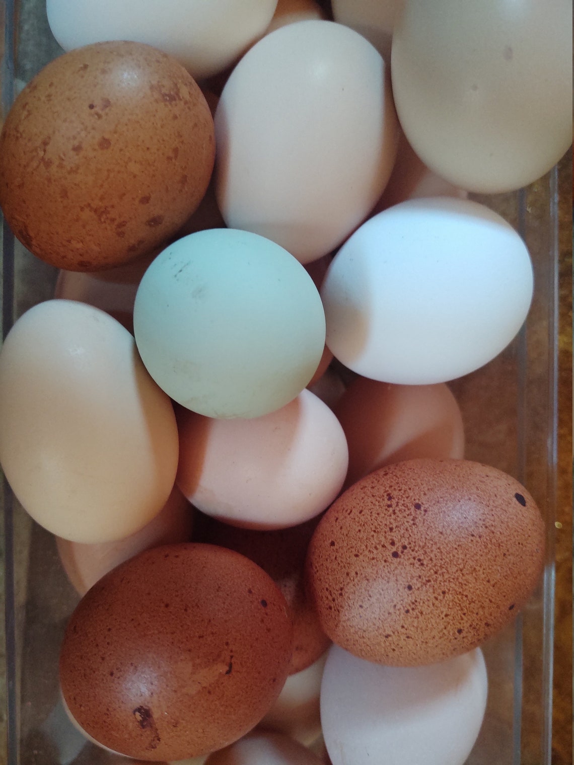 Farm Fresh Organic Free Range Chicken and Duck Eggs Etsy