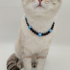 May include: A white and grey Scottish Fold cat with blue eyes wearing a black beaded necklace with blue evil eye charms.