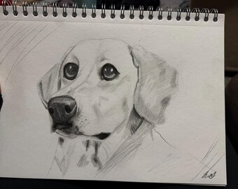 Pet Dog Cat Pencil Hand Drawn Art Illustration
