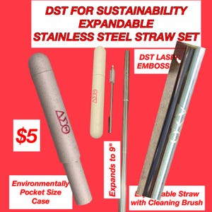 May include: A set of two stainless steel straws with a cleaning brush. The straws are expandable to 9 inches and come in a beige carrying case. The case has the text "DST" and a logo on it. The straws are silver and have the text "DST" embossed on them. The set is $5.