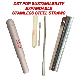 May include: A set of three stainless steel straws with a cleaning brush. The straws are expandable and come in a beige carrying case with the text "DST for Sustainability Expandable Stainless Steel Straws" printed on it.