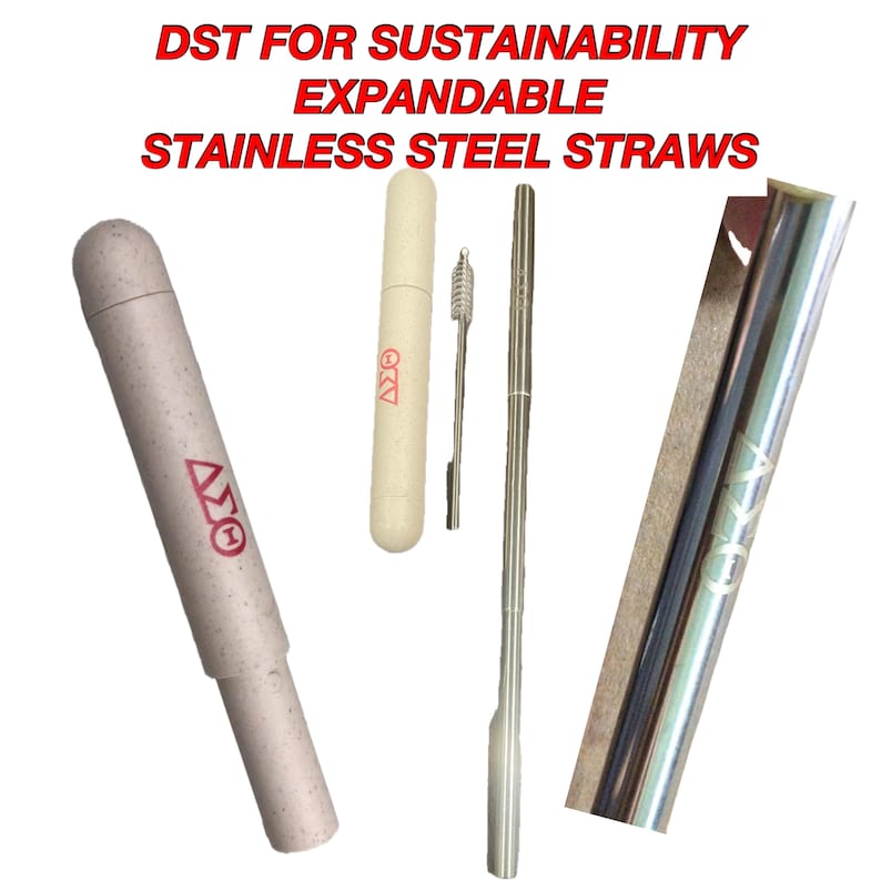 May include: A set of three stainless steel straws with a cleaning brush. The straws are expandable and come in a beige carrying case with the text "DST for Sustainability Expandable Stainless Steel Straws" printed on it.