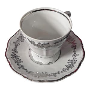 Vintage BKJ Bavaria Teacup Set: Fine Porcelain with Silver Border