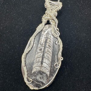 Orthoceras fossil wire wrapped pendant