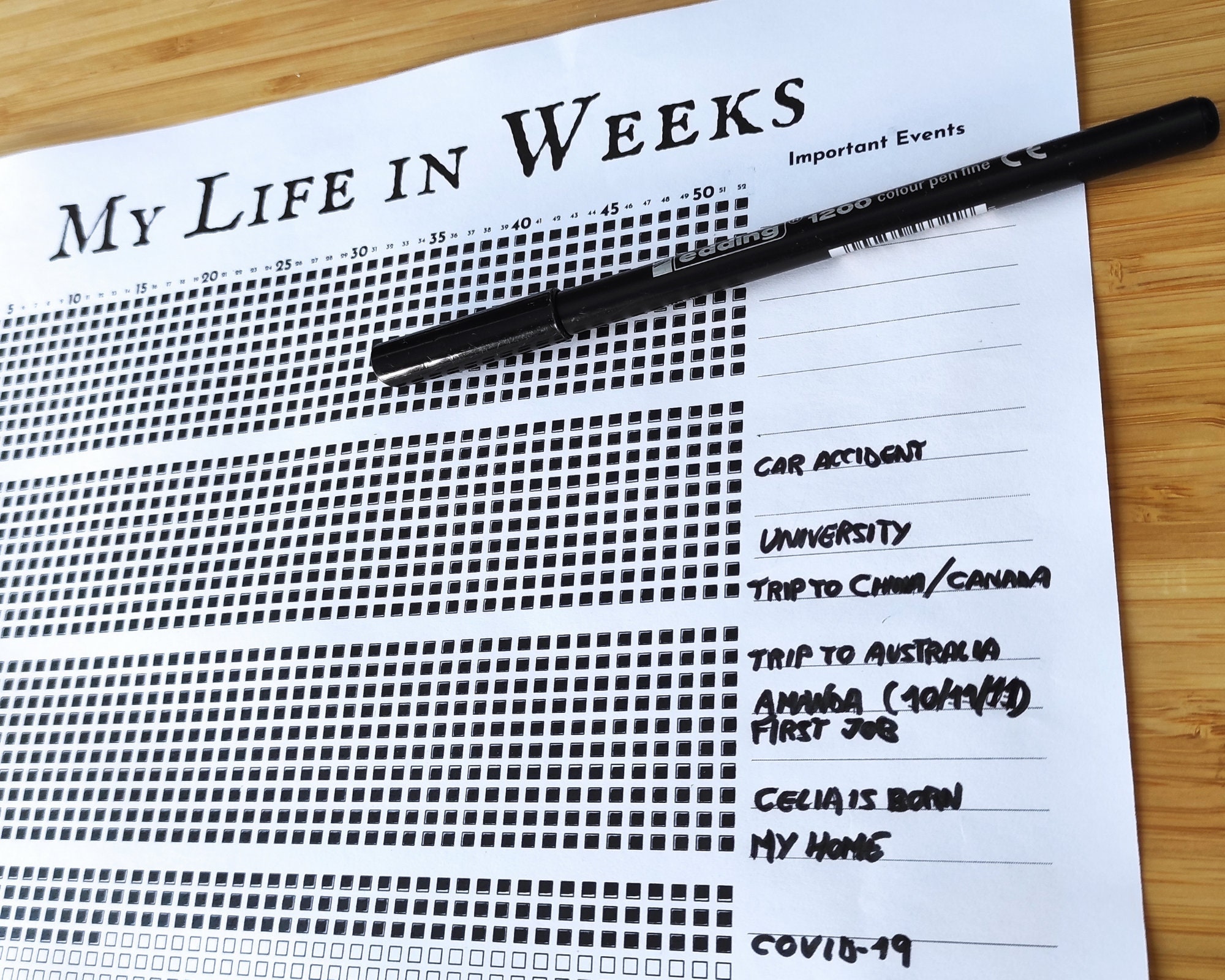 My Life In Weeks Printable Printable Word Searches My Life In Weeks Printable Printable Word Searches