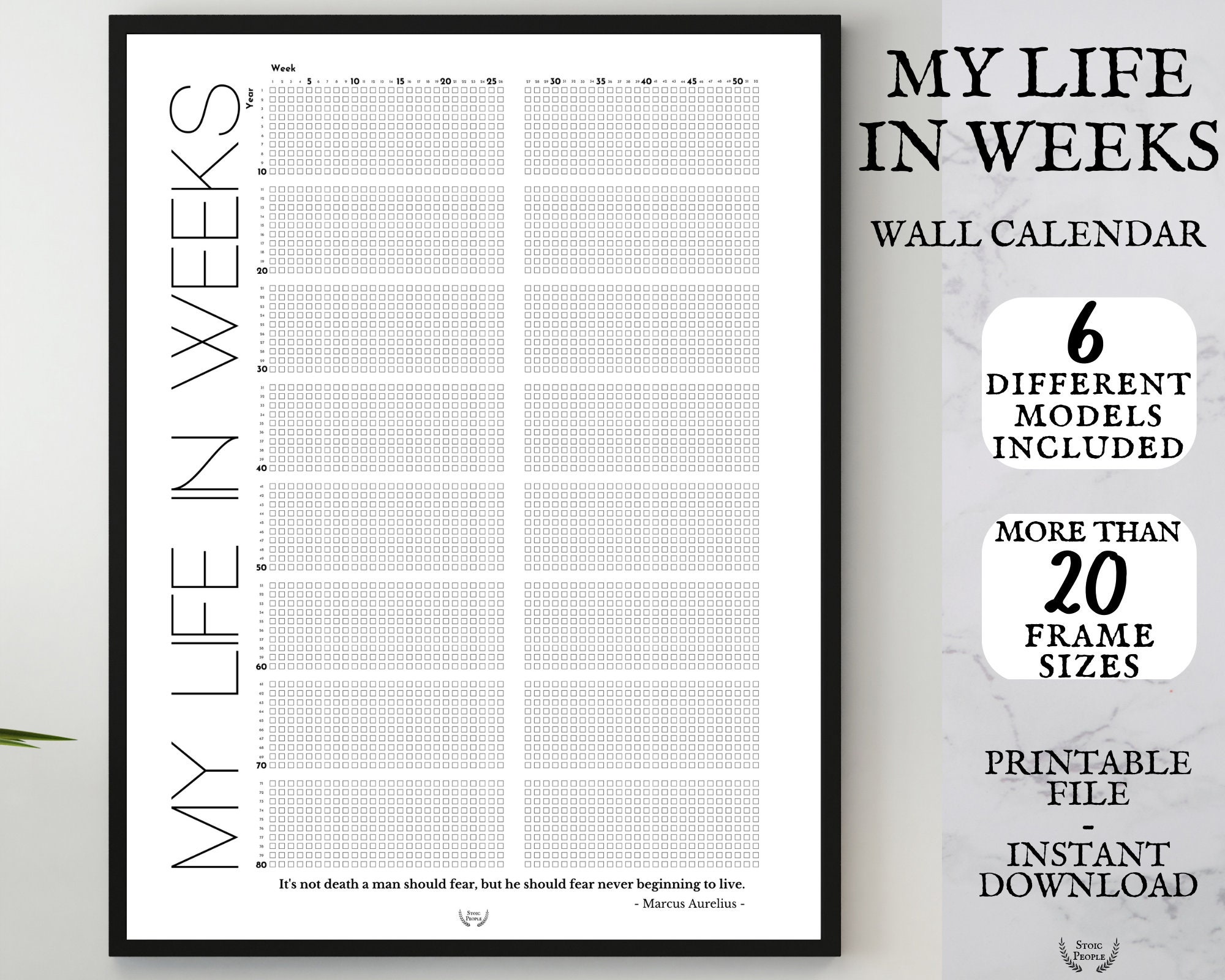 My Life Calendar Poster Printable Meaningful Life in Weeks Etsy