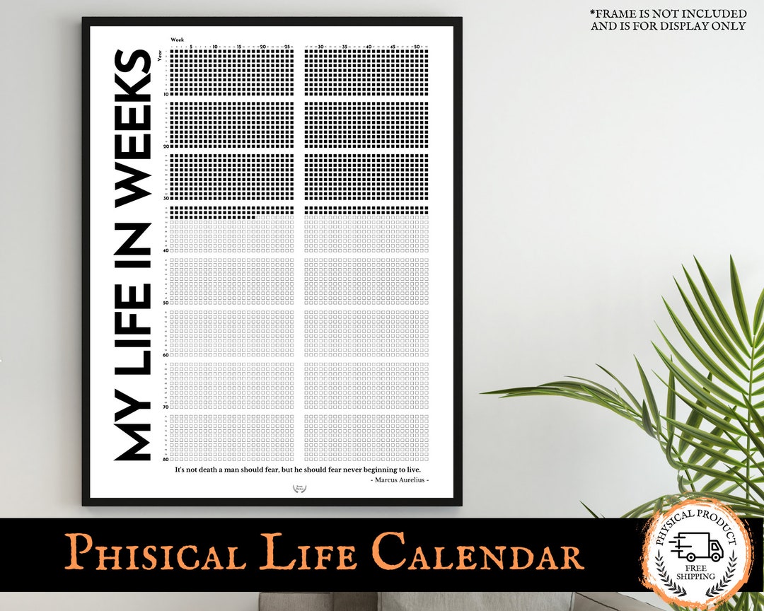 Printed Stoicism Calendar Life in Weeks Poster Memento Mori Etsy
