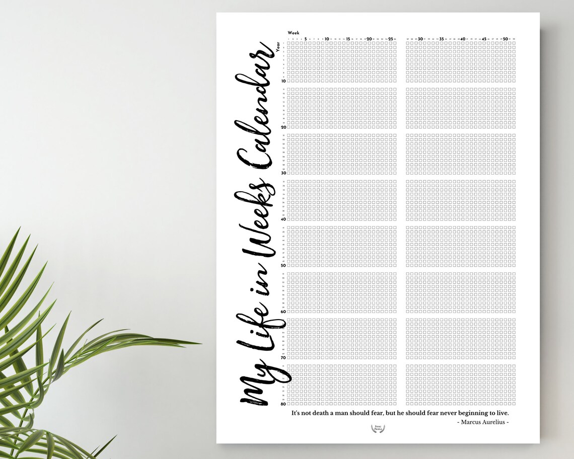 My Life Calendar Poster Printable Meaningful Life in Weeks | Etsy