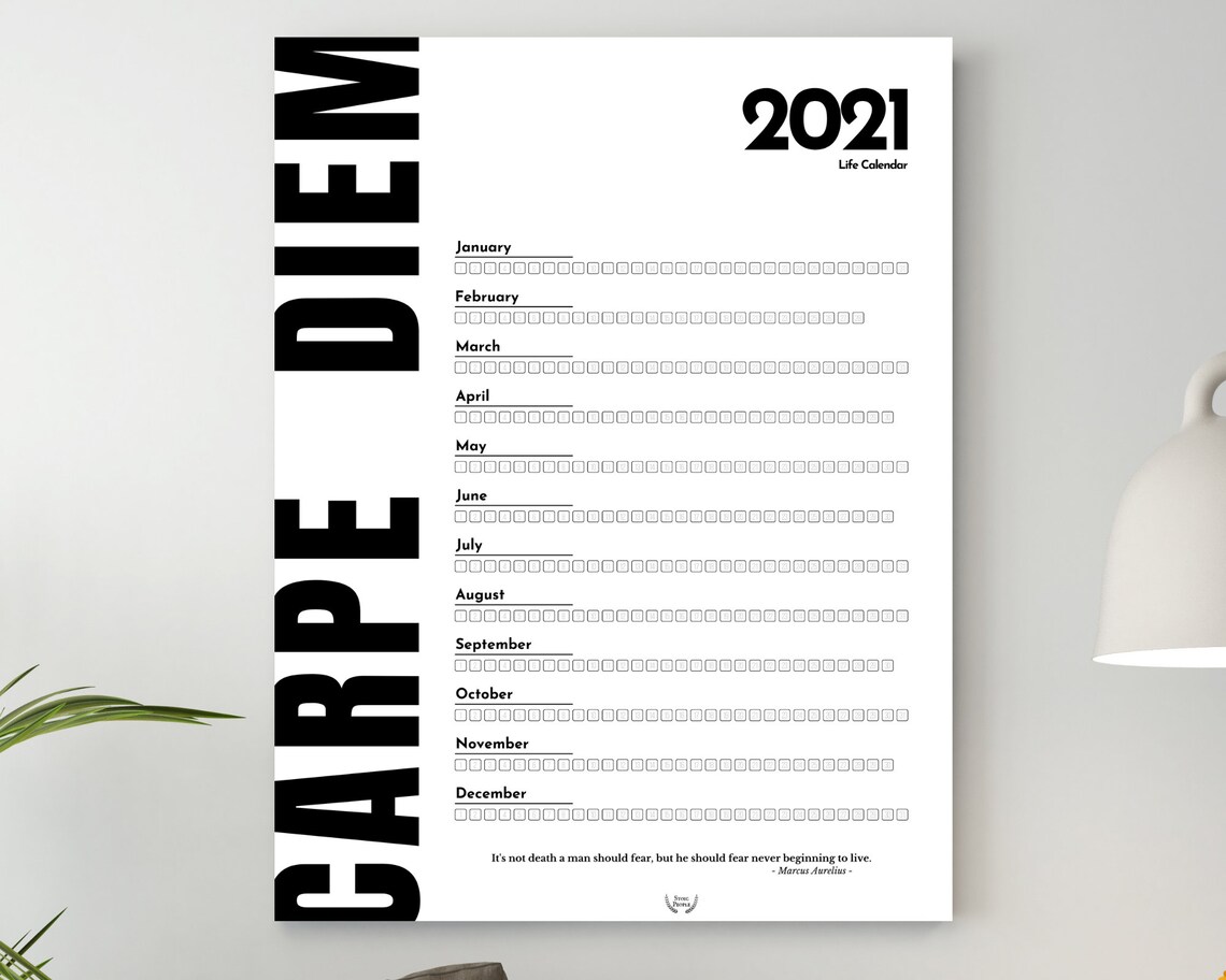 2021 carpe diem wall print planner carpe diem poster etsy
