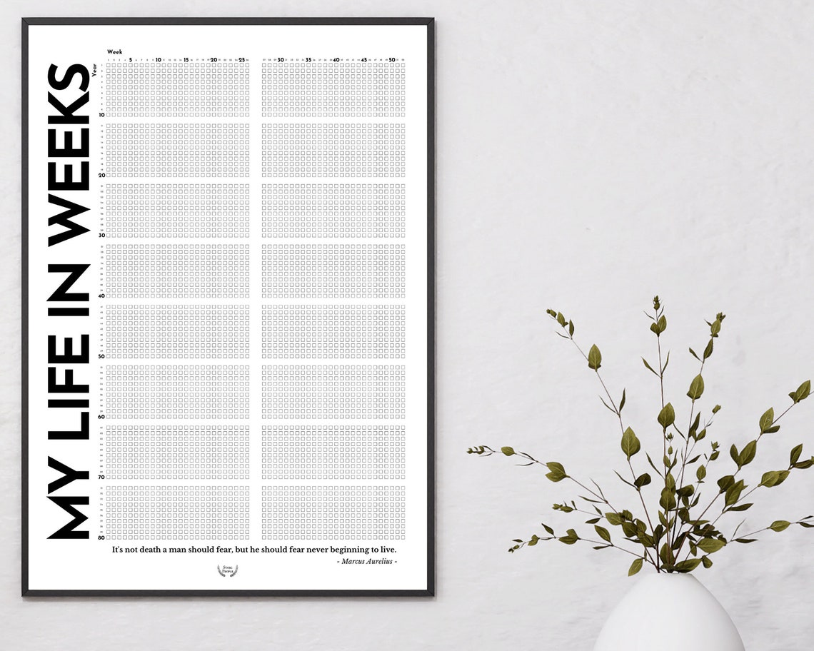 My Life Calendar Poster Printable Meaningful Life in Weeks | Etsy