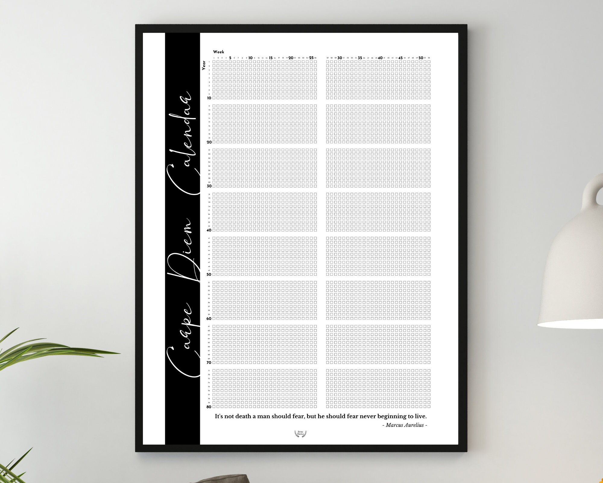 Carpe Diem Wall Print Life in weeks calendar printable Carpe | Etsy