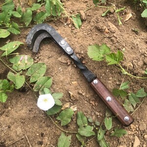 Hand Forged Cultivator - Gift for Outdoor Hobbyist, Gardener, Nature Lover, Plant Enthusiast