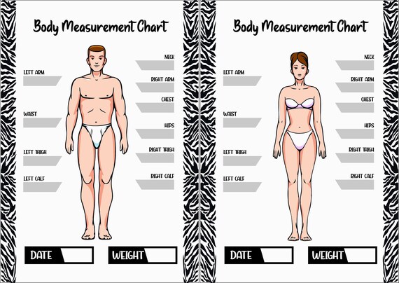 body measurement chart