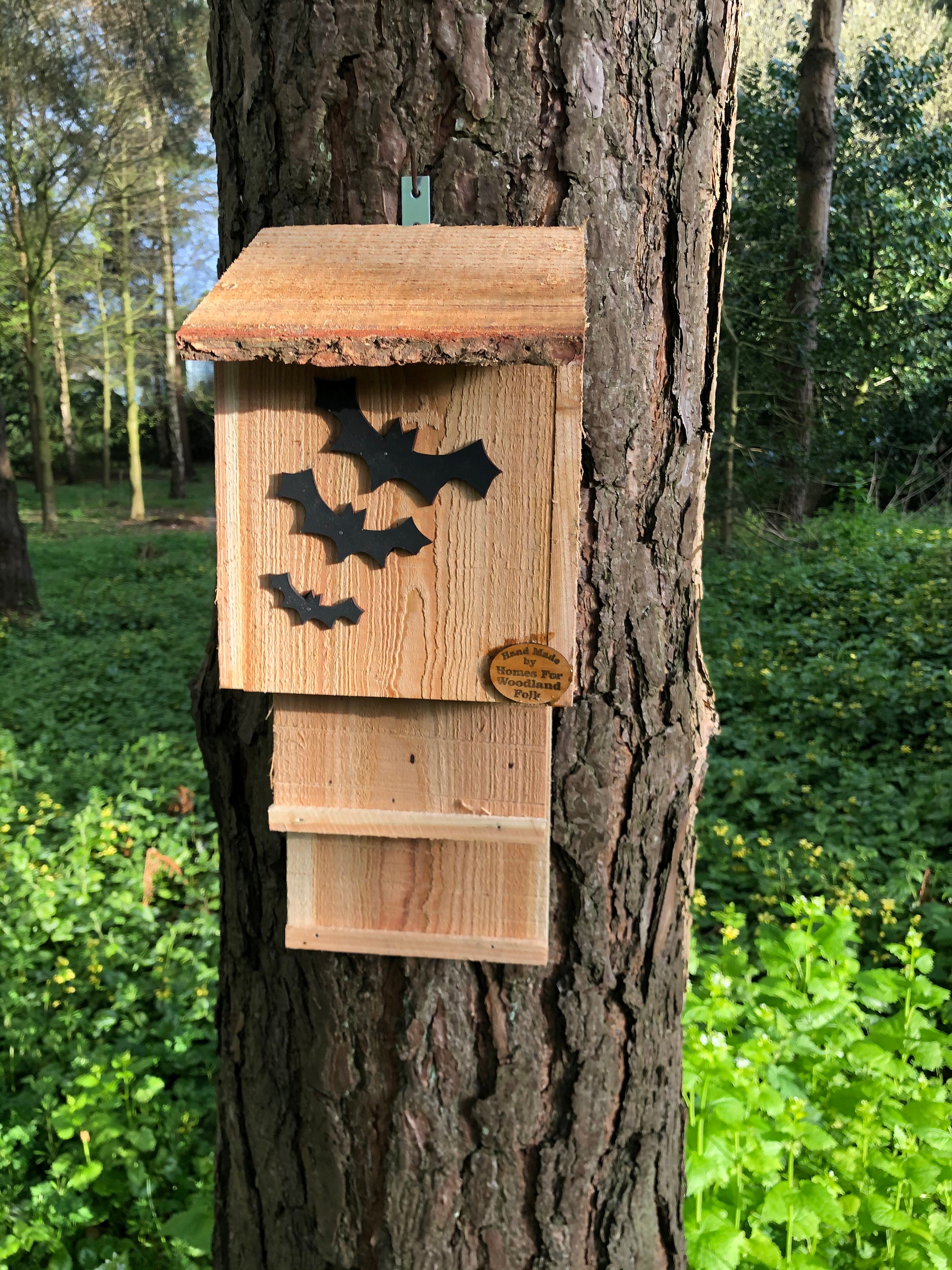Wooden Bat Box Handmade using Freshly Sawn Larch Eco Etsy