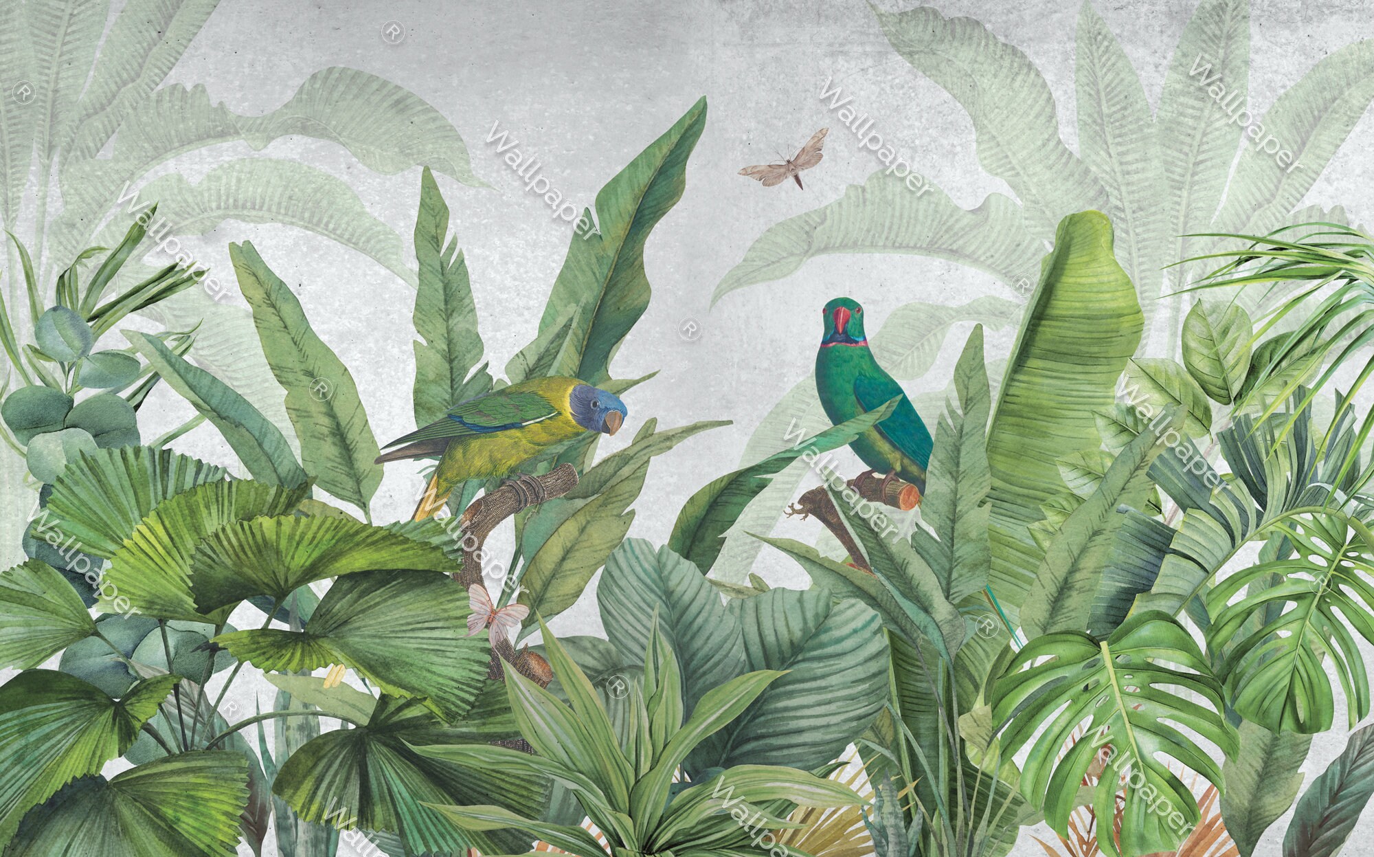 Tropical Jungle Parrot Palms Wallpaper Removable Jungle - Etsy UK
