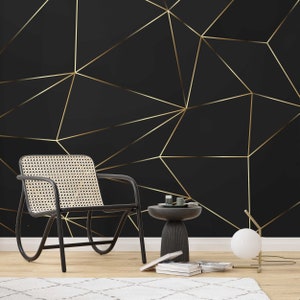 Black wall outlet with gold lines