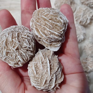 Desert Rose Selenite Gypsum