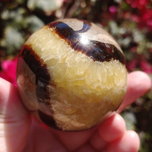 Gorgeous Septarian Nodule Dragon Stone Polished Sphere