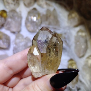 Congo Africa Mined Citrine Crystal Clusters Roots, Natural Lwena Citrine,  Smokey Colored, Kundalini Quartz,  High Quality, Rough, Raw