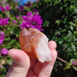 Gorgeous Brazilian Lemurian Tangerine Quartz Point Cluster On Quartz Matrix