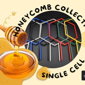 May include: The image showcases a honey-themed design. A wooden honey dipper drips honey into a glass bowl. The text "HONEYCOMB COLLECTION" and "SINGLE CELL" are displayed. Several colorful, hexagonal shapes are arranged on a black background.
