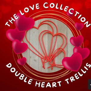 Double Heart Plant Trellis (for Hoya / Pothos / Rare Plants / Indoor Plants)