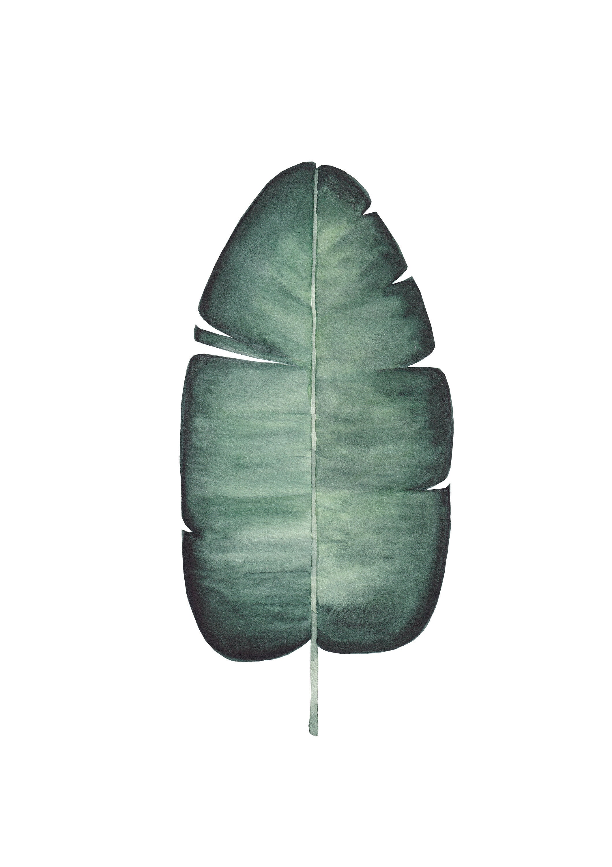 Déclinaison de Feuilles