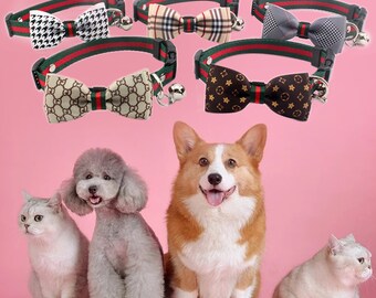 louis vuitton collar cat