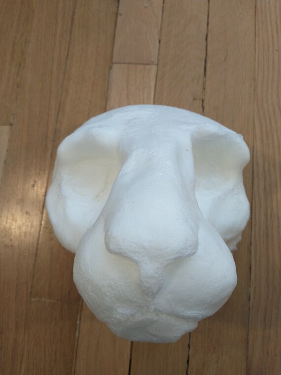 Miscast Realistic Big Cat Foam Headbase Etsy