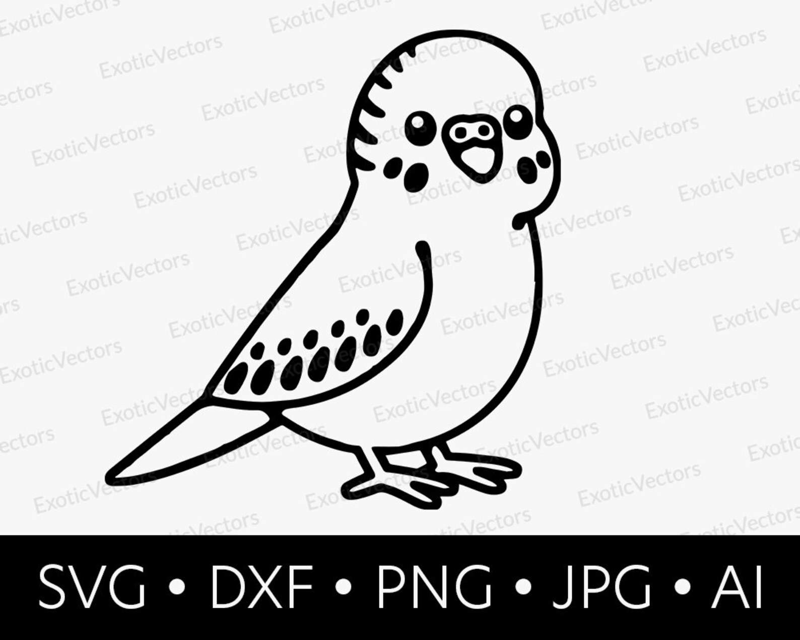 Budgie SVG for Cricut Cutter svg dxf png jpg ai DIGITAL | Etsy