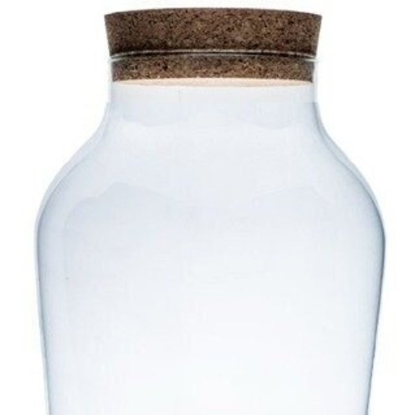 Glass bottle 33cm | Terrarium glass | Jar vase | dome | Pflanzen im Glass | Flaschengarten | DIY | dekor