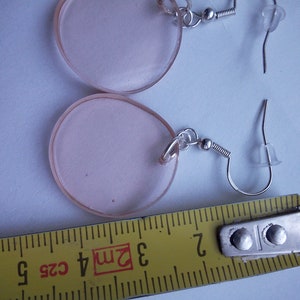 Pu&ograve; includere: Un paio di orecchini rotondi in acrilico rosa con ganci argentati. Gli orecchini hanno un diametro di circa 3 cm.