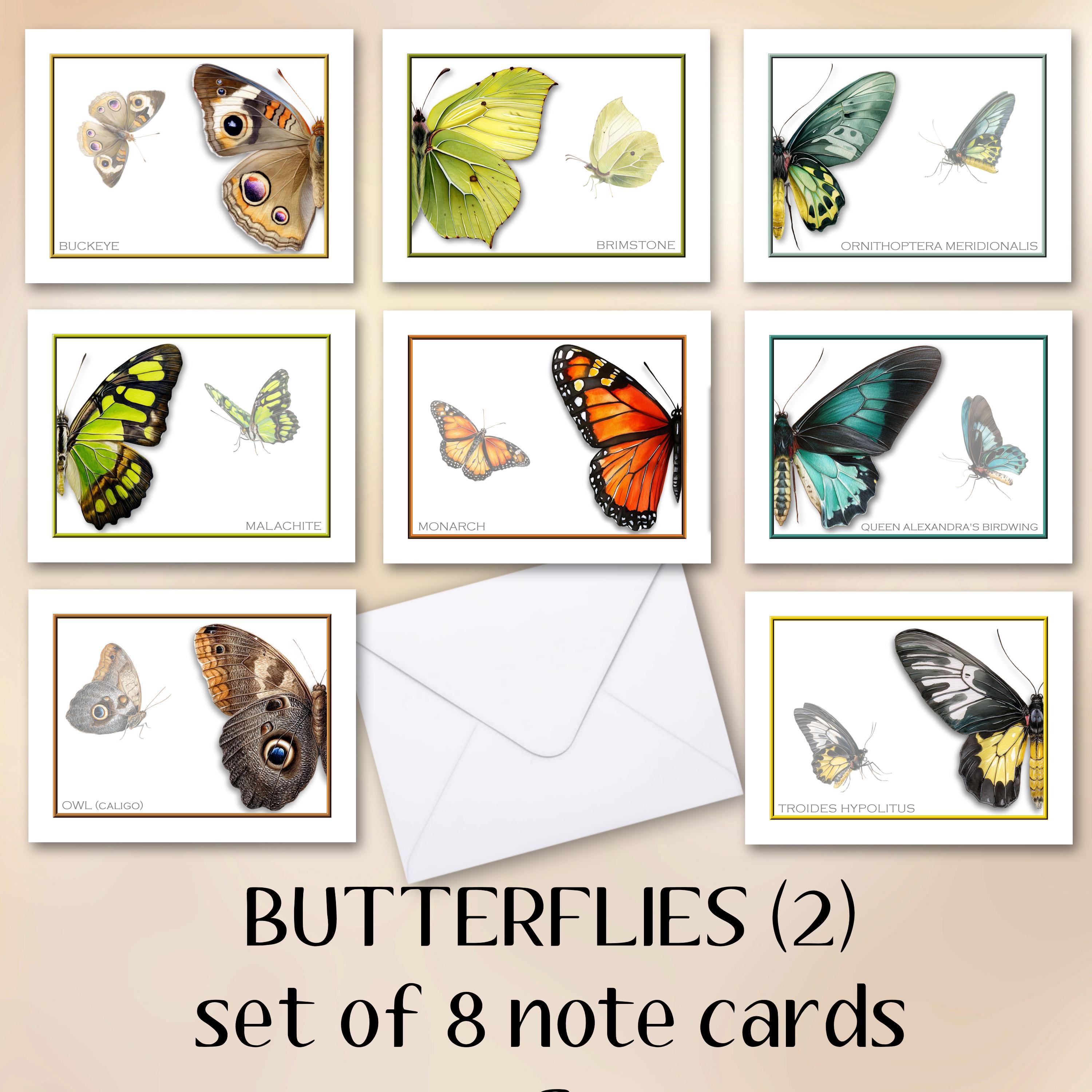 Butterflies Note Cards Set of 8 Blank Inside, With Envelopes - Etsy