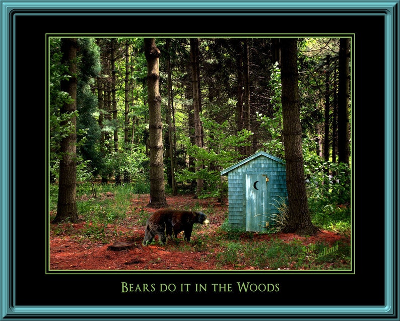 Bear and Outhouse in the Woods Photo, Instant Download, Grizzly Bear