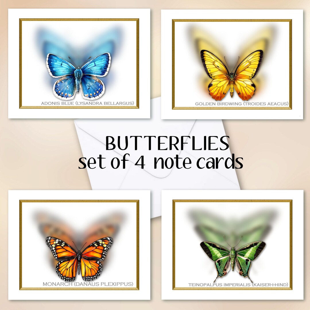 Butterfly Note Cards Set of 4 With Envelopes, Blank Inside - Etsy