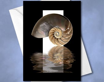 May include: A greeting card featuring a nautilus shell with a spiral pattern in shades of brown, tan, and cream. The shell is set against a black background with a white vertical rectangular center and a rippled reflection at the bottom.