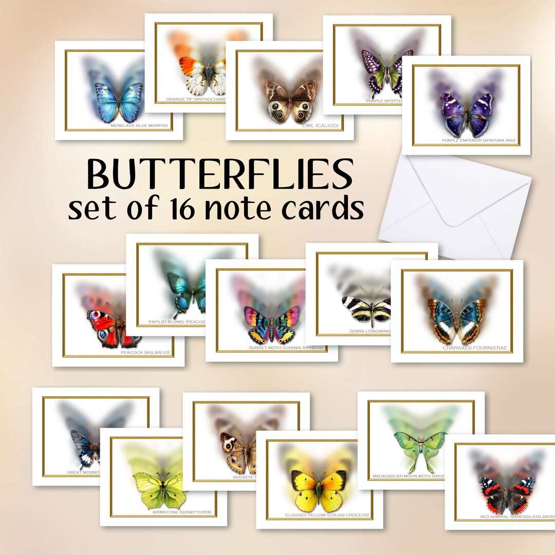Butterfly Note Cards Set of 16 Blank Inside, Envelopes Included - Etsy