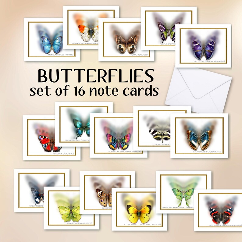 Butterfly Note Cards Set of 16 Blank Inside, Envelopes Included - Etsy