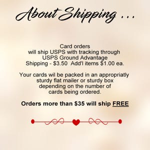 Gray Kittens Greeting Card: Cuddled Cats Photo (5x7 with Envelope) image 5