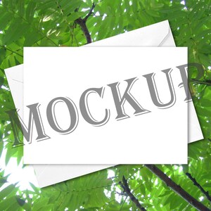 Grußkarten-Mockup-Bundle, um Ihre Karten zu präsentieren, 24 bunte Flora & Fauna-Texturbilder, JPG-Dateien, sofort downloadbar