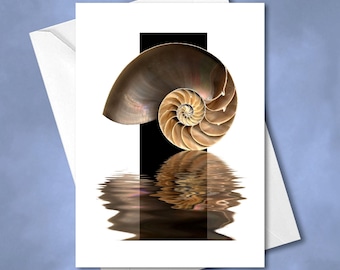 Nautilus Shell Greeting Card for Any Occasion, 5x7 Card with Envelope Included
