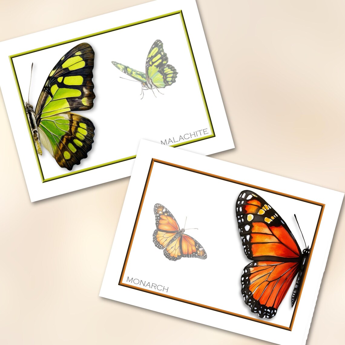 Butterflies Note Cards Set of 8 Blank Inside, With Envelopes - Etsy
