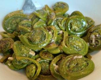 Pre Orders for Fiddle Heads! Fresh New York fiddleheads 1lb.