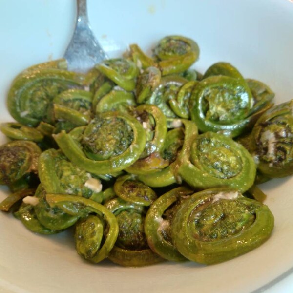 Pre Orders for Fiddle Heads! Fresh New York fiddleheads 1lb.