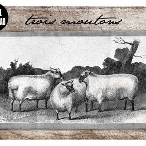 Sheep Drawing Digital Download, Sheep Drawing Instant Download, Sheep on Wood Download, Sheep Drawing, Download, Drawing