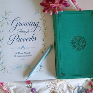 Può includere: Un libro bianco intitolato Growing Through Proverbs: A Three-Month Reflection Journey con accenti floreali blu, una penna azzurra e un libro color ottanio con un disegno a mandala circolare in rilievo sulla copertina, accompagnato da un fiore rosa.