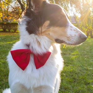 Doggy Bowties | PDF Sewing Pattern | Instant Download | Print at Home | Includes 3 Bowtie Styles | DIY Dog Accessories